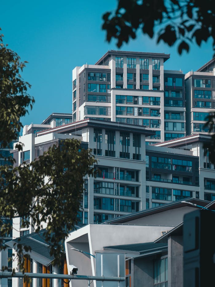 Contemporary high-rise buildings framed by sunlit trees in a vibrant cityscape.